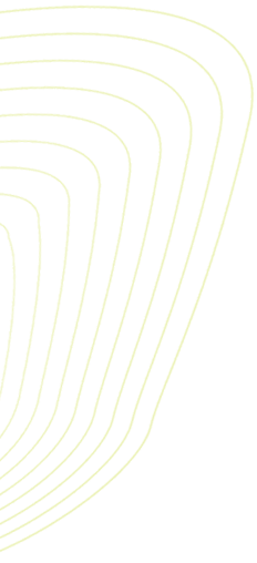 Decorazione header
